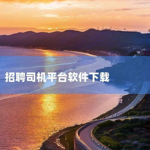 1. 百姓网：隶属于百姓网股份有限公司，设有司机招聘栏目，提供各类司机职位信息。2. BOSS直聘：知名的招聘平台，设有驾驶员招聘栏目，便于司机求职者直接与雇主沟通。3. 597直聘：隶属于厦门才盛人|