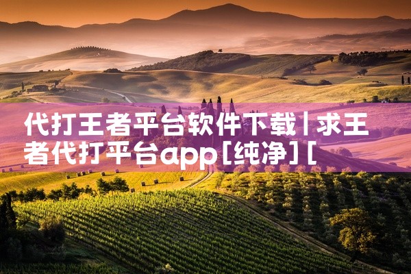 代打王者平台软件下载